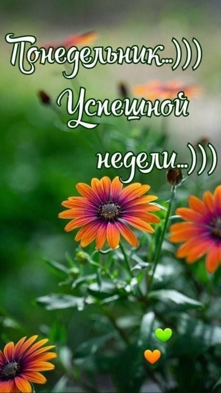 ни