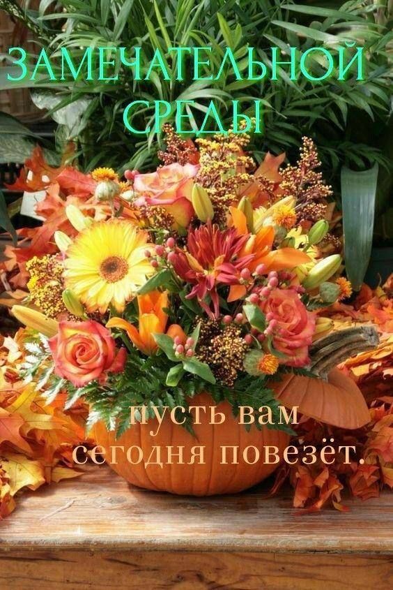 х утьвам я севодня повезёт