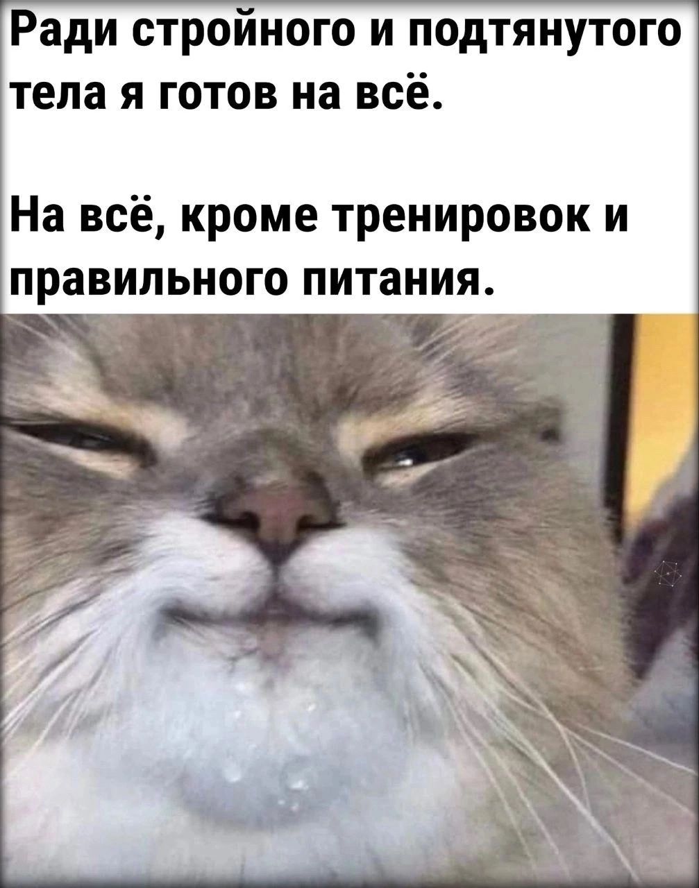 Ради стройного и подтянутого тела я готов на всё На всё кроме тренировок и правильного питания