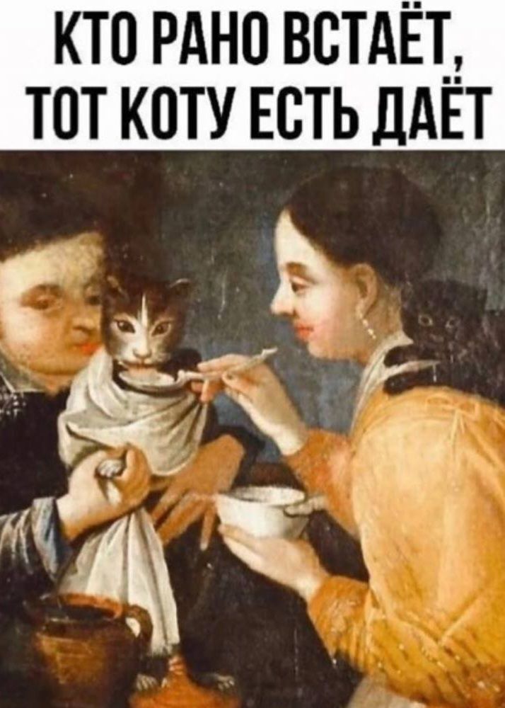 кто мне встдЕт тот коту есть ЛАЕТ __ ТД