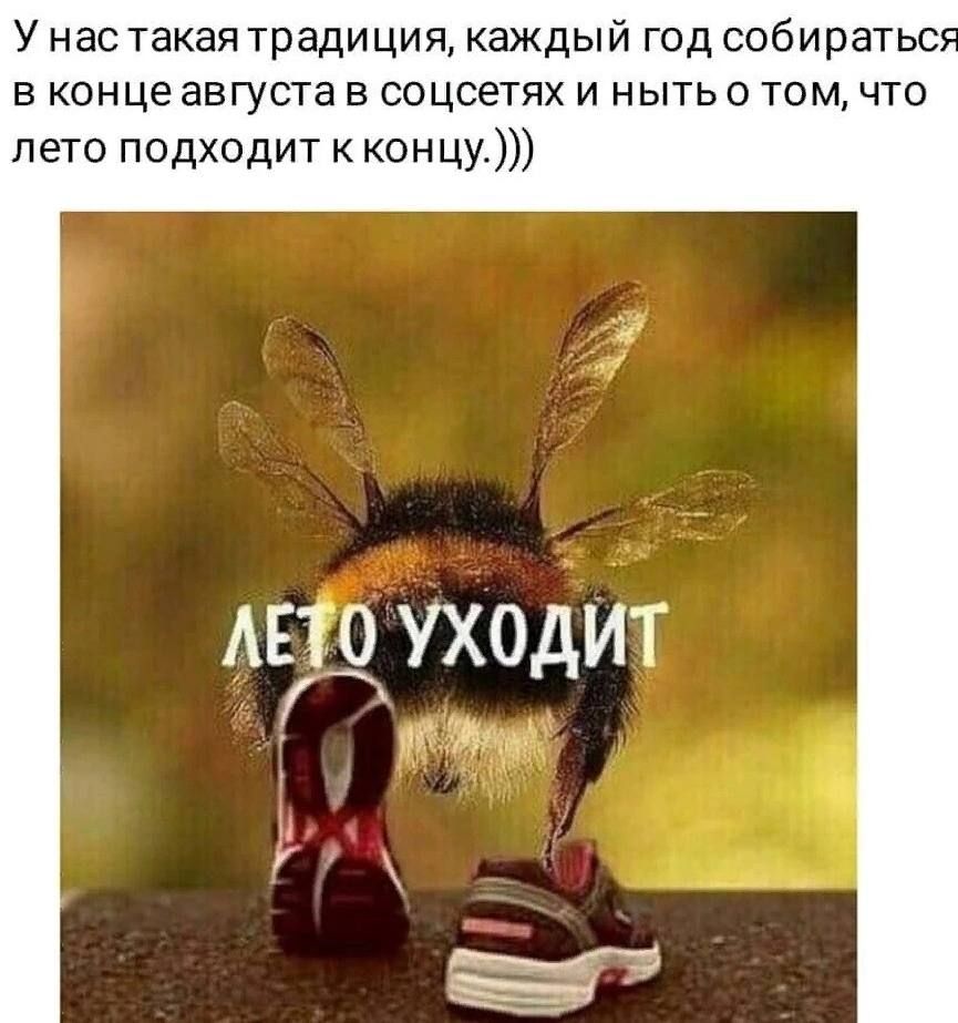 Мне так страшно. Лето уходит картинки прикольные с пчелой. Даже пятница 13 звучит не так страшно. Даже пятница 13 звучит не так страшно как 31 августа.