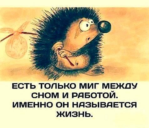 Есть только миг мвжду сном и рдвотой имвнно он ндзывдЕтся жизнь