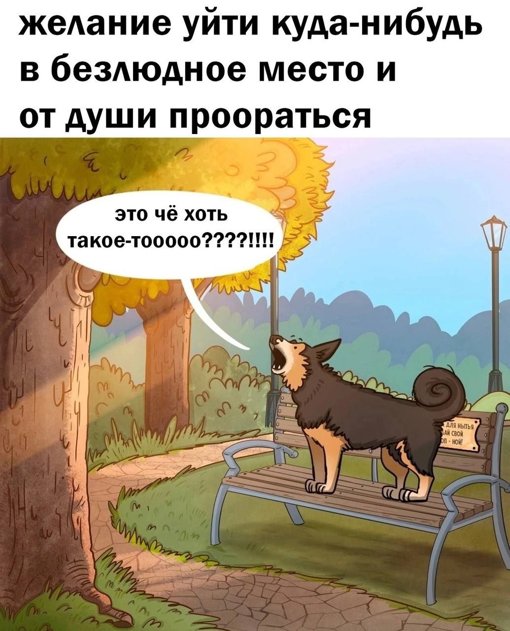 жедание уйти куда нибудь в беЗАюдное место и от души проораться это чё хоть такое топов