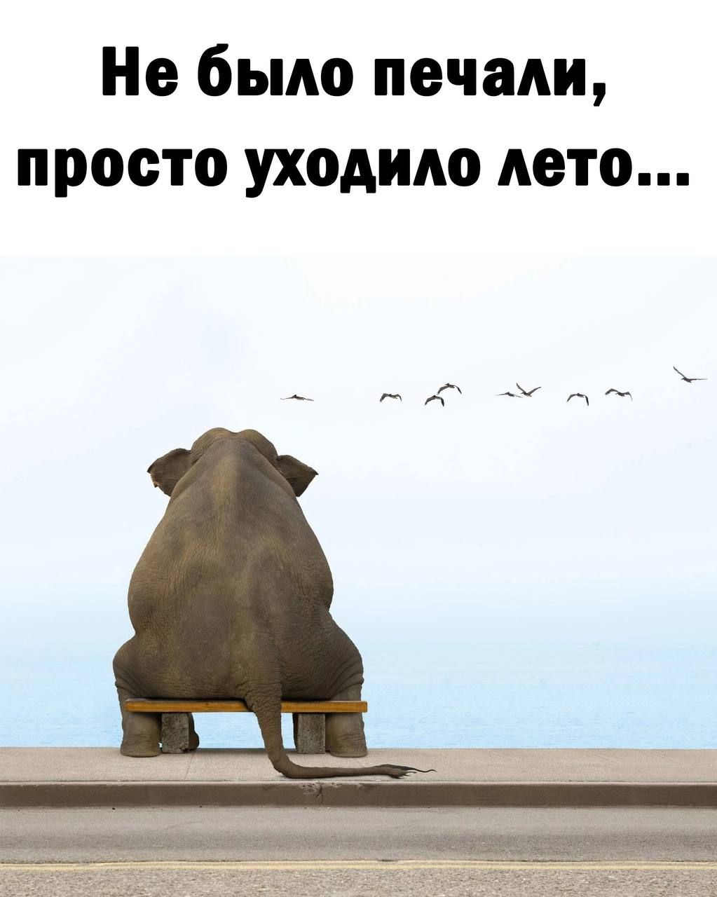 Не было печали просто уходило дето