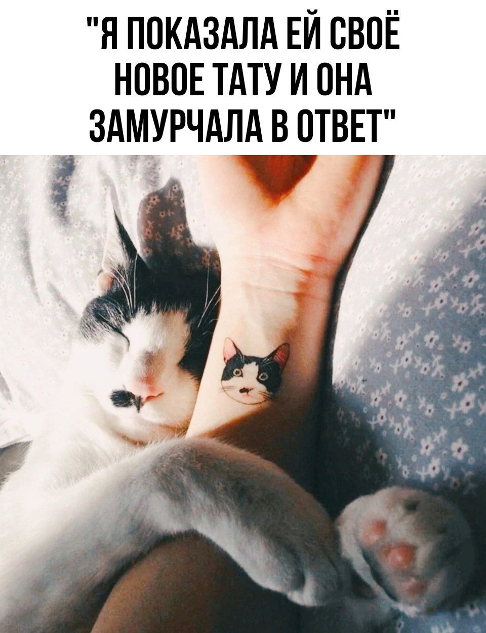 Я ППКАЗАЛА ЕЙ СВОЁ НПВПЕ ТАТУ И ПНА ЗАМУРЧАЛА В ОТВЕТ