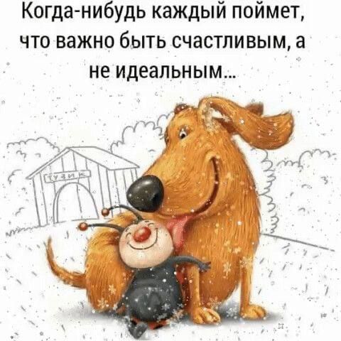 Когда нибудь каждый поймет что важно быть счастливым а не идеальным рх ч дм д ЖЗ