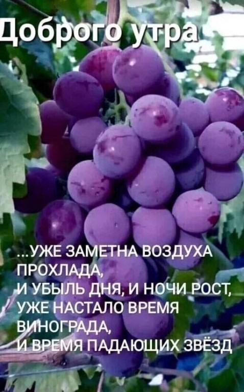УЖЕЗА ЕГНА ВОЗДУХА прр м5 я и нвйшгосъ АСТАЛО время 0 _ _ЛАДАЮЩИХ ЗЁЭД йа 1