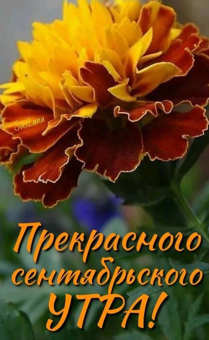 М ММ Ёт 9 7 _ И Д 144013 _Цил