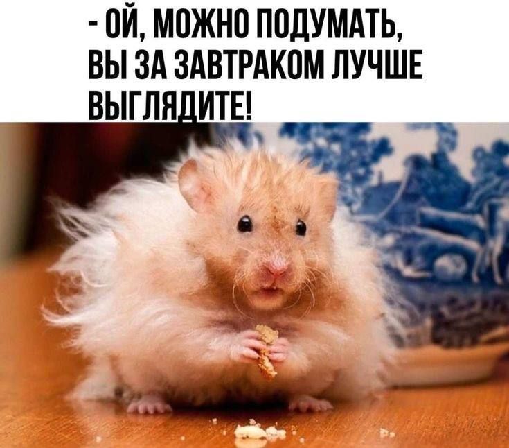 ий можно ппдшдть вы зд эдвтгдком ЛУЧШЕ выглн иты