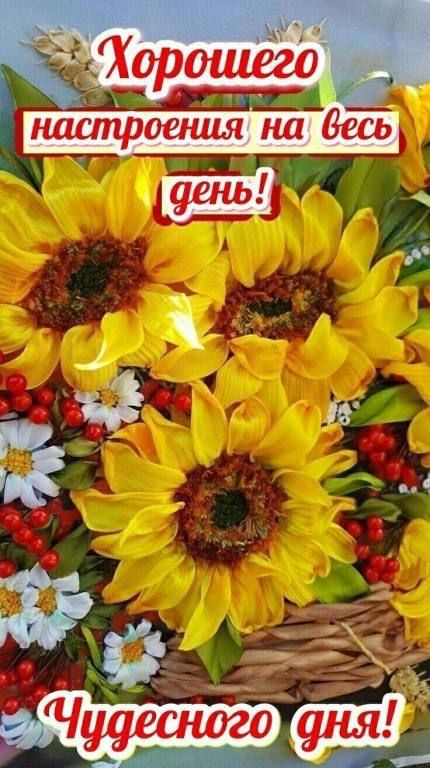т