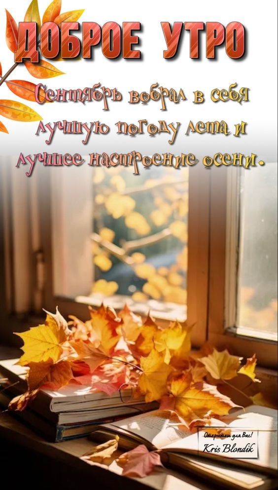 ШЗРЦЭЁ ЛЮ СЁЕЫЦЬЮЁШ _Ёчид ЭЭЯ АГНИЮ 0131 цщ д ШЦЭЭ ШЁ9ЁШЭ эЗЭъЁШ