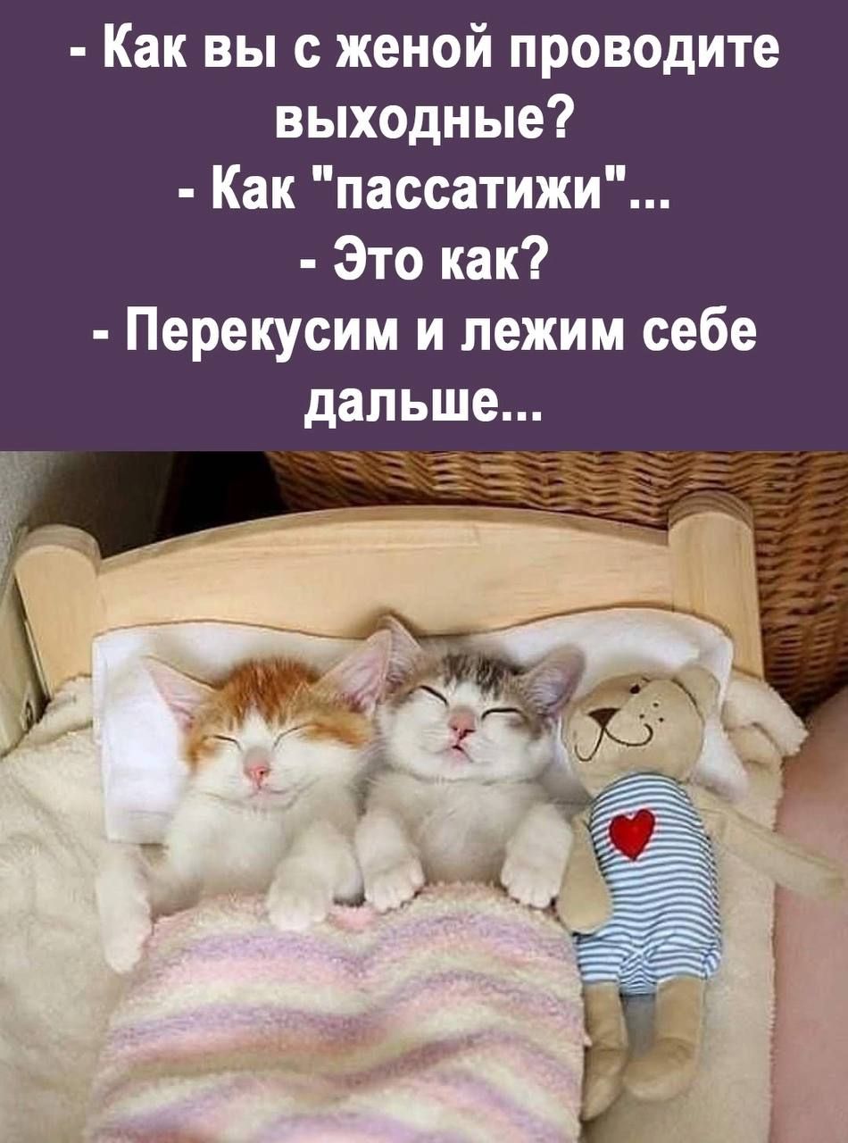 Как вы с женой проводите выходные Как пассатижи Это как Перекусим и лежим себе дальше