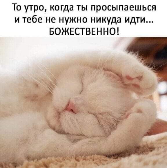 То утро когда ты просыпаешься и тебе не нужно никуда идти БОЖЕСТВЕННО И
