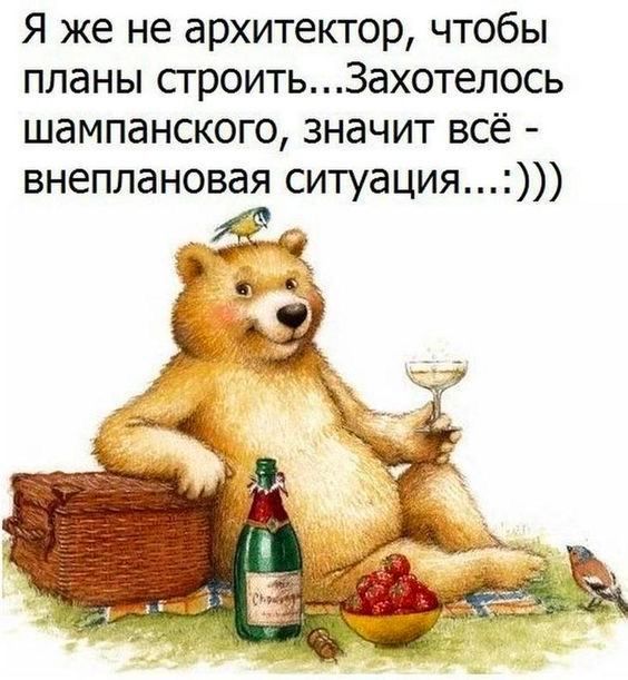 Я же не архитектор чтобы планы сгроитьЗахотелось шампанского значит всё внеплановая ситуация Ё і ом