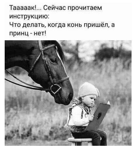 Тааааак Сейчас прочитаем инструкцию Что делать когда кинь пришёл в принц нет