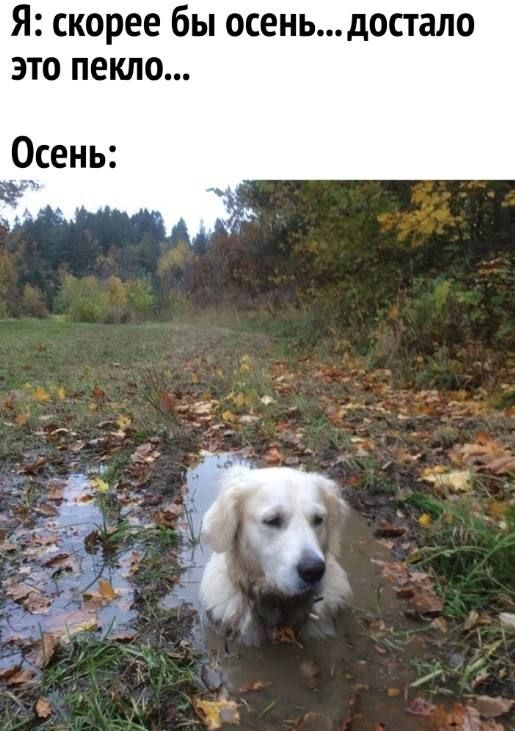 Я скорее бы осеньдостало это пекло Осень
