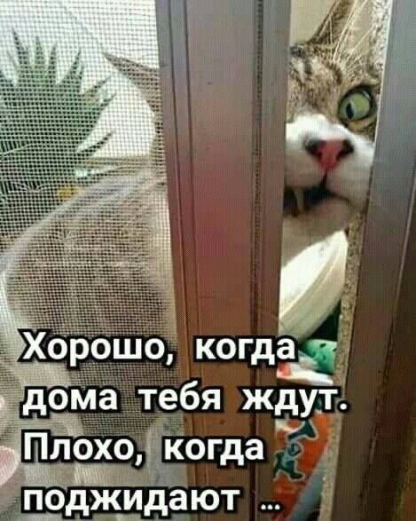 Плохо когда _ _ 1с_дж_чдают
