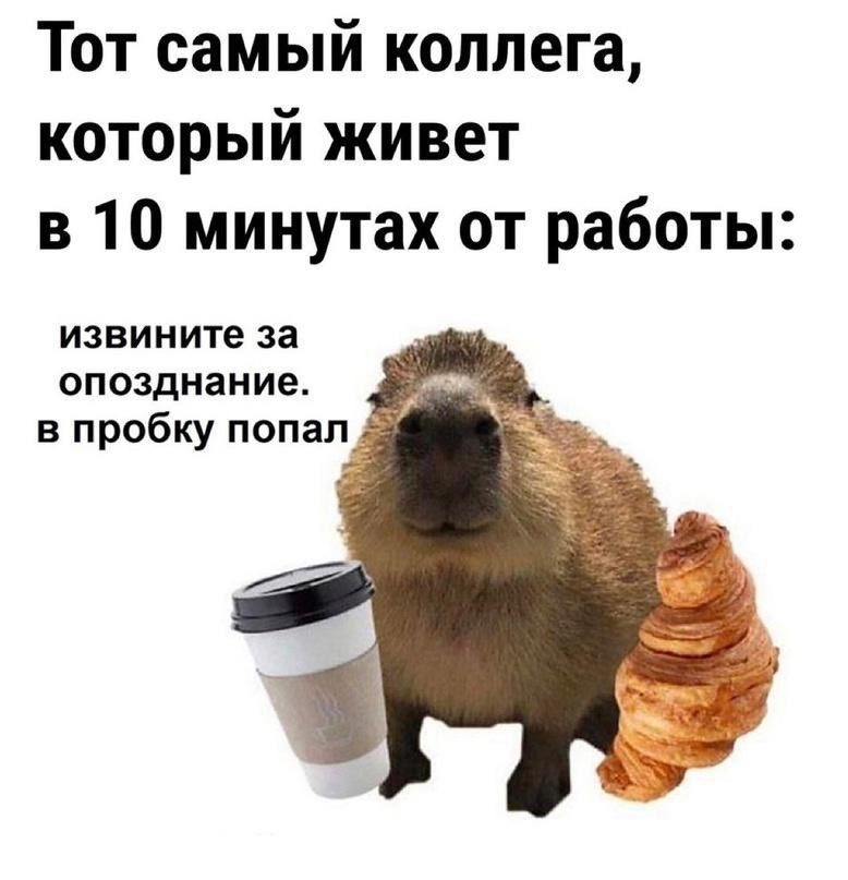 Тот самый коллега который живет в 10 минутах от работы извините за опозднание в пробку попал