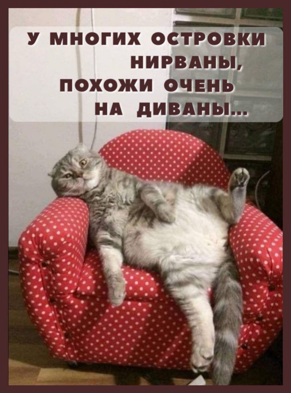 У МНОГИХ ОСТРОВКИТ