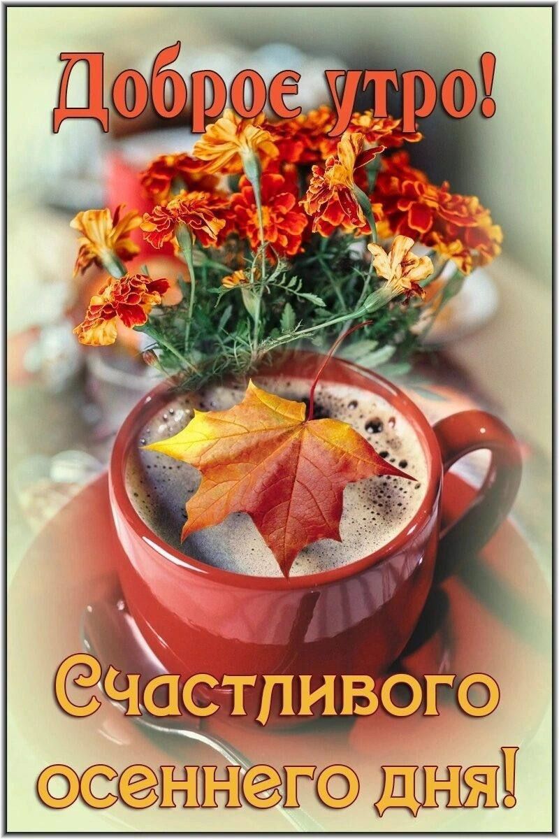 ггціёпегю П