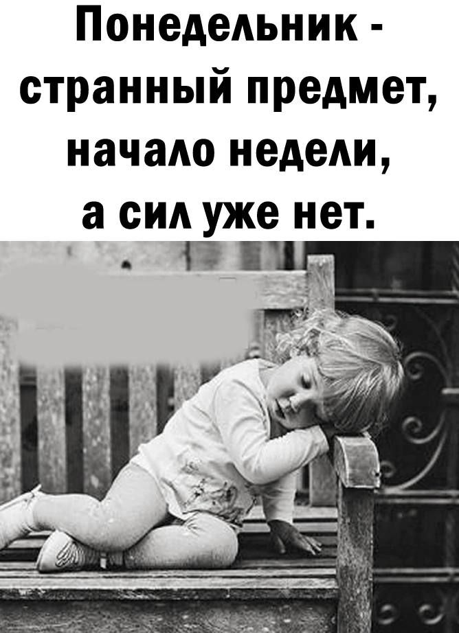 Понедельник странный предмет начало недели а сил уже нет