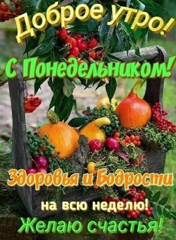 _ на всю иедеЪю тм Желаю счастья