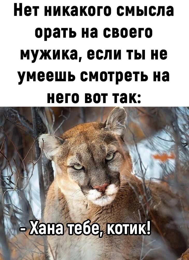 НЕТ НИКЗКОГО смысла орать на СВОЕГО мужика ЕСЛИ ТЫ НЕ УМЕЕШЬ СМОТРЕТЬ на НЕГО ВОТ так
