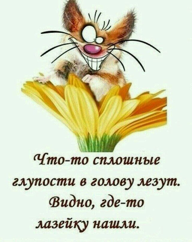 то то сплошные глупости в голову лезут Видно где то лазейку наши