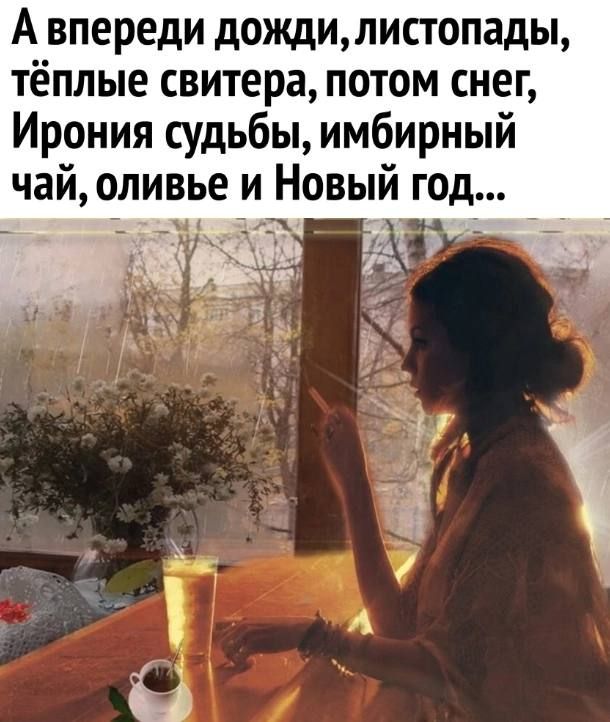 А впереди дождилистопады тёплые свитера потом снег Ирония судьбы имбирный чай оливье и Новый год