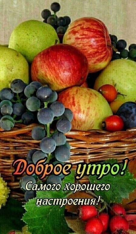 іастроенияд