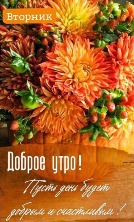 оправ цию дім Ё 3 331