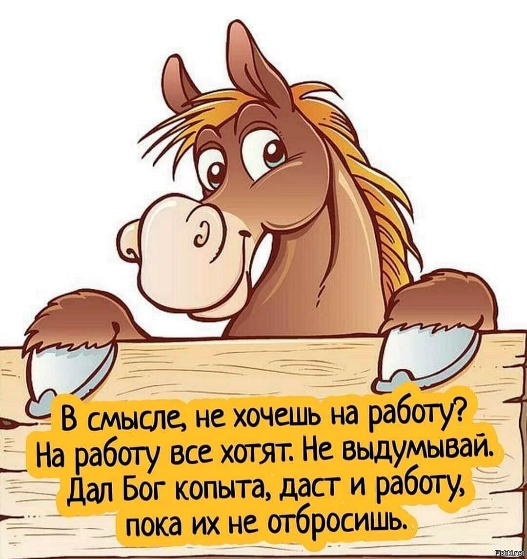 _ В смысле не хичсшь на работу 3 _ На работу все хотят Не выдумывать г дал Бог копыта даст и работу 27 пока их не отбросишь _