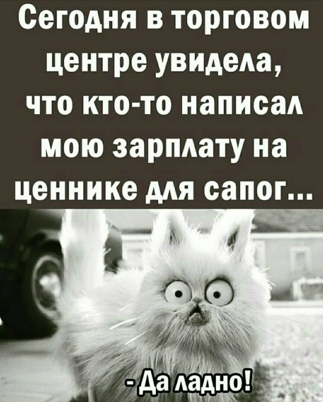 Сегодня в торговом центре увидела что кто то написал мою зарплату на ценнике МЯ сапог _ ж