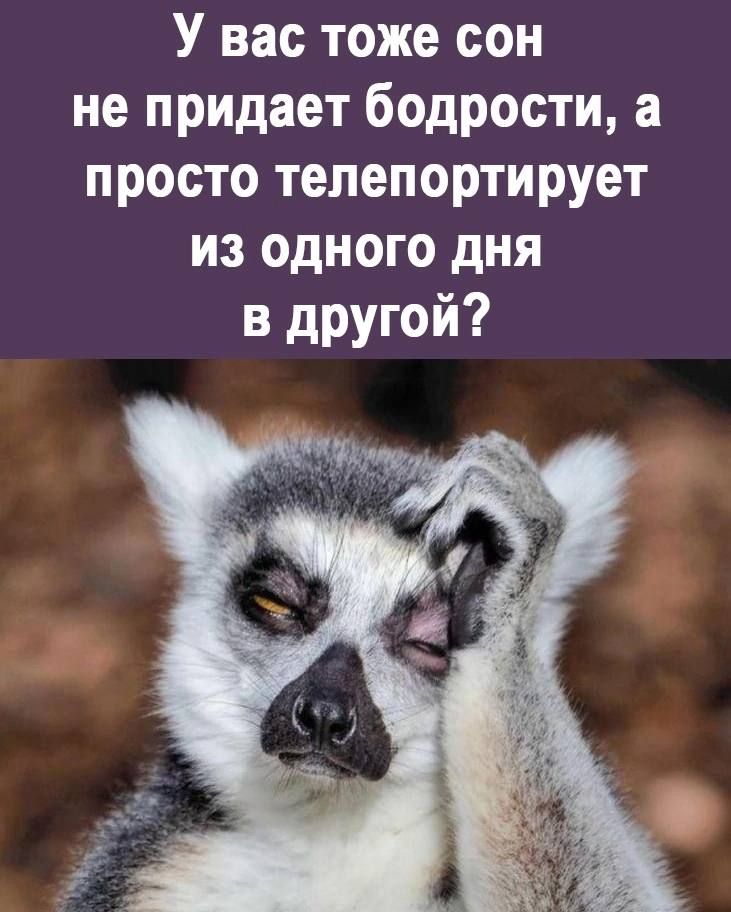 У вас тоже сон не придает бодрости а просто тепепортирует из одного дня в другой