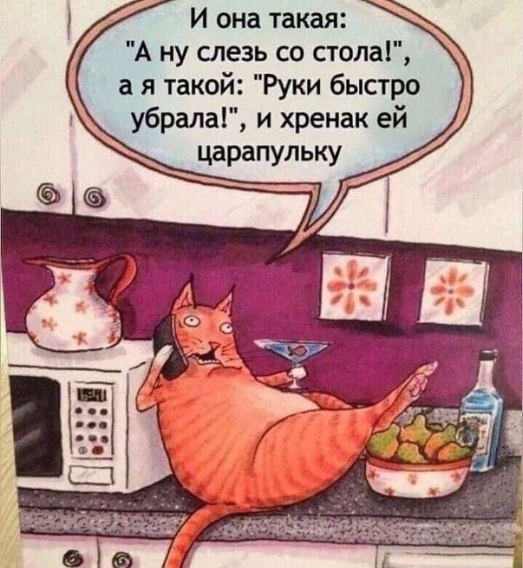 И она такая А ну слезь со стола я такой Руки быстро убралаГ и хренак ей царапульку