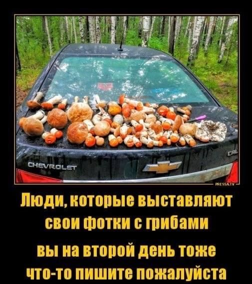 ЙЮДП НЮТЩЗЫВ ВЫСТЮЗППШТ 0301 011 8 ШПЙЁЦШШ ВЫ на ВТОЗОЙ ДЕНЬ ТГШЗЮ чта тп ПИШИТЕ ПШНШШЙВТЗ