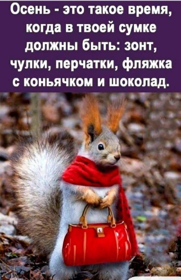 Осень это такое время когда в твоей сумке должны быть зонт чупки перчатки фляжка О КОНЬЯЧКОМ И ШОКОПЗД в пр _