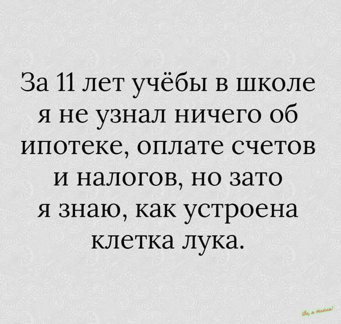 За 11 лет учёбы в школе я не узнал ничего об ипотеке оплате счетов и налогов но зато я знаю как устроена клетка лука