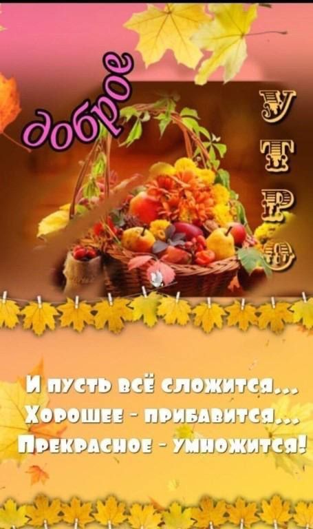 или 3519 Ы35шц_ вшэ имамы и 33 вы из мышцы ім ггцд п_ ёдцч71ё _ _ ьг Аипд