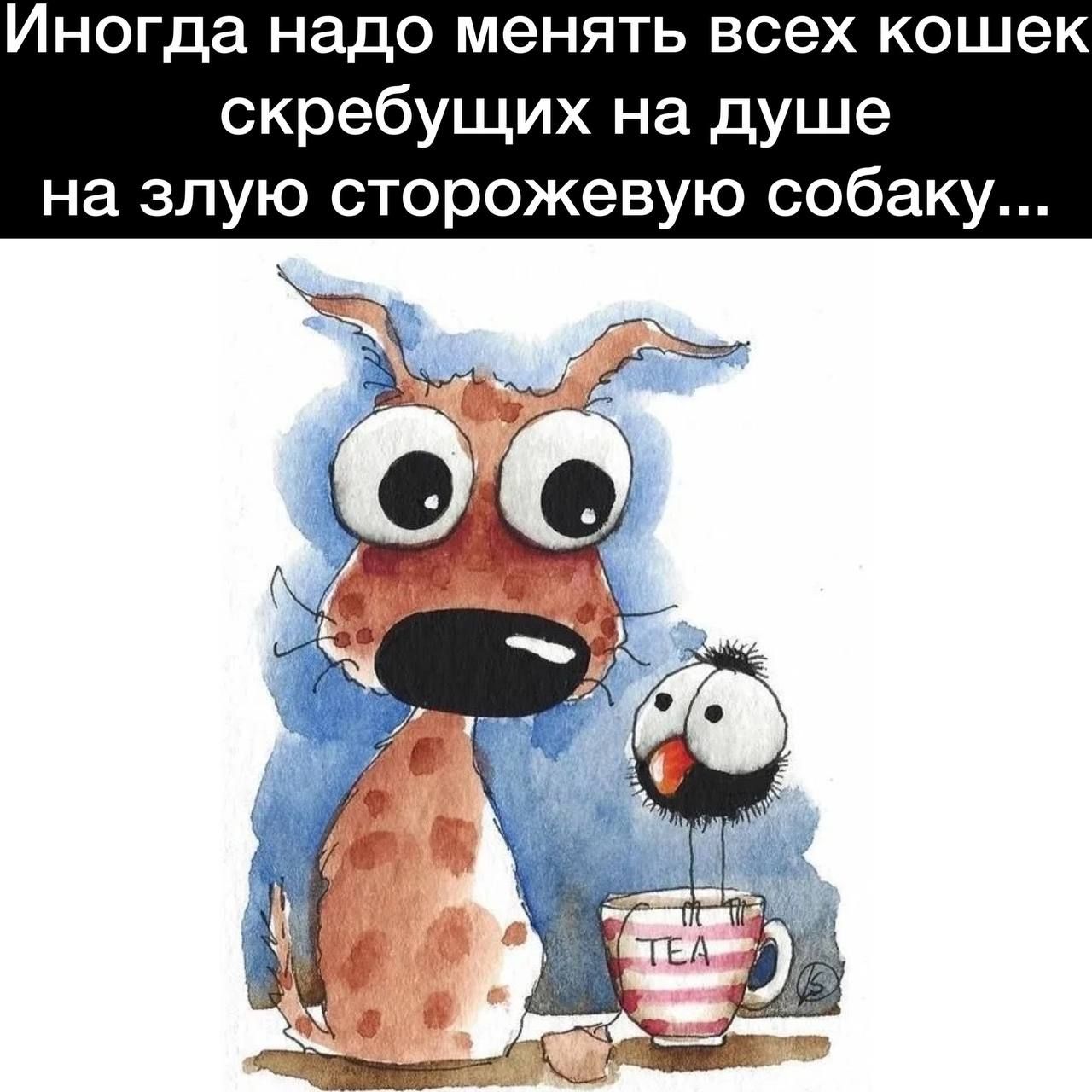 Иногда надо менять всех кошек скребущих на душе на злую сторожевую собаку