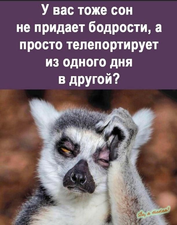 У вас тоже сон не придает бодрости а просто телепортирует из одного дня в дРУгой