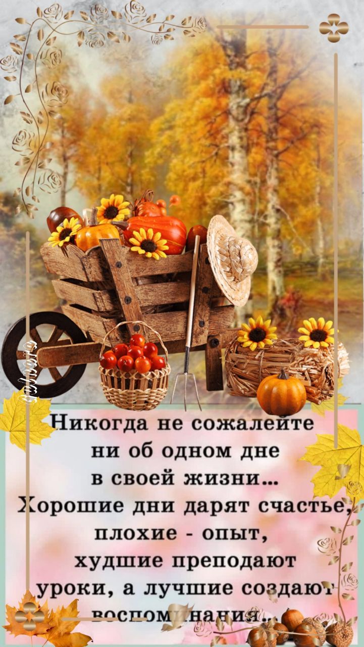 Никогда не сожнле те ни об одном две в своей жизни Хорошие дни дарят счастье плохие опыт худшие преподают уроки лучшие создаюыЁі звеном _на пл