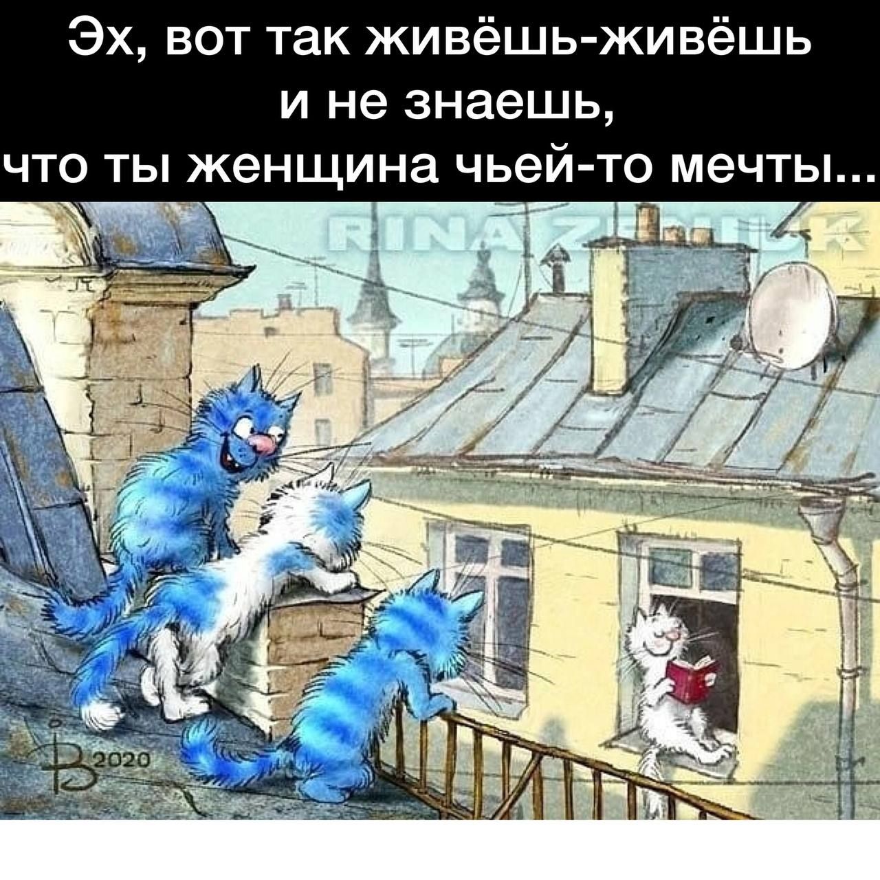 Эх вот так живёшь живёшь и не знаешь что ты женщина чьей то мечты