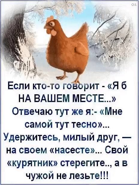 я Если кто то го рит Я б НА ВАШЕМ МЕСТЕ Отвечаю тут же я Мне самой тут тесно Удержитесь милый друг на своем насесте Свой курятник стерегите а в чужой не лезьте