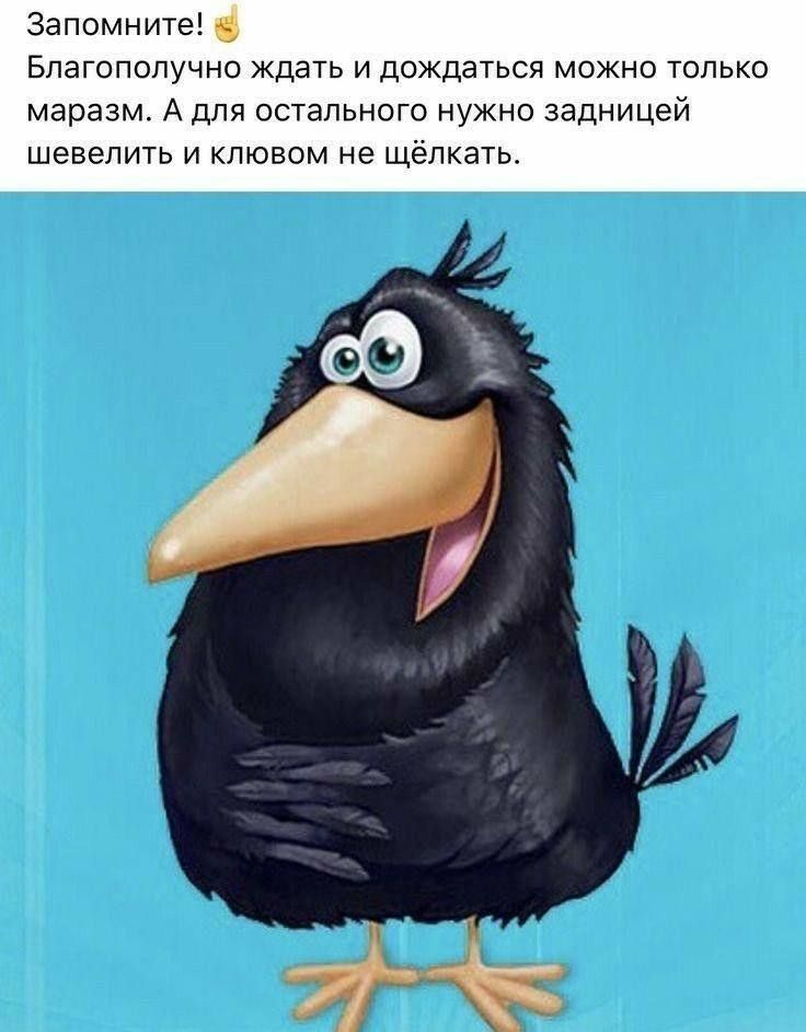 Запомните Благополучно ждать и дождаться можно только маразм А для остального нужно задницей шевелить и клювом не щёлкать