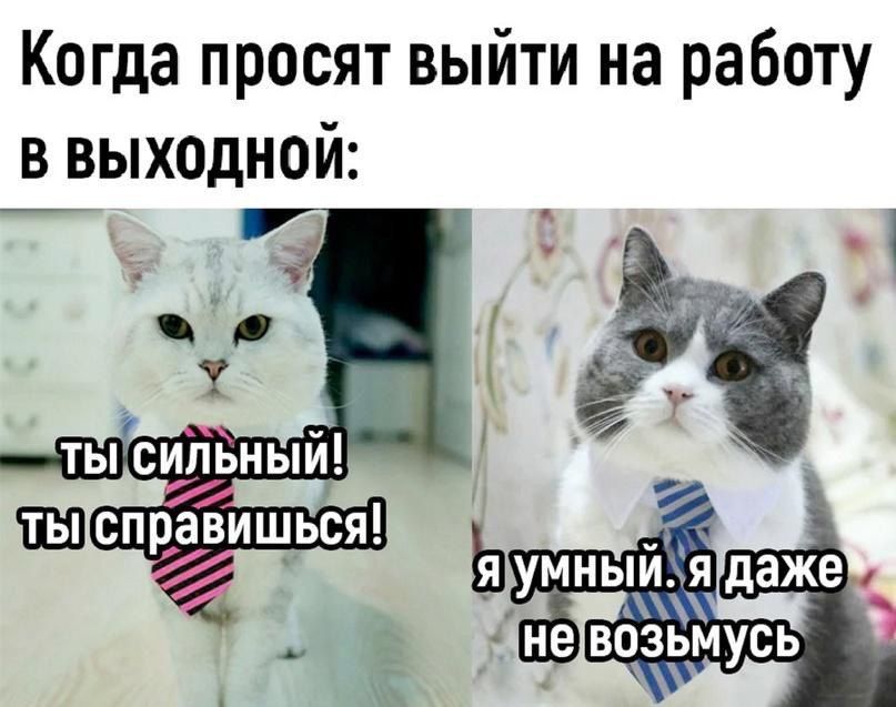 Когда просят выйти на работу в выходной 7