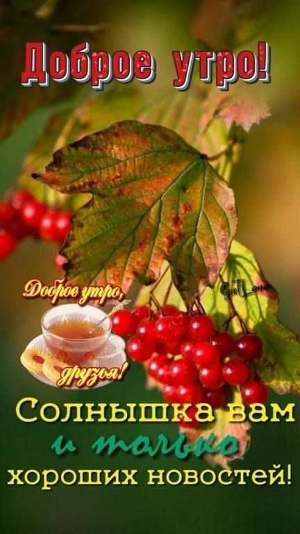 в _ Солнышка вы А хороших ново тей