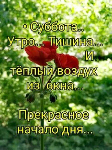 С и о Я Тиё ЁЁ ж Г Р А 4 ЦЧШ А _ОЬЪММЧ 8 В а П Н