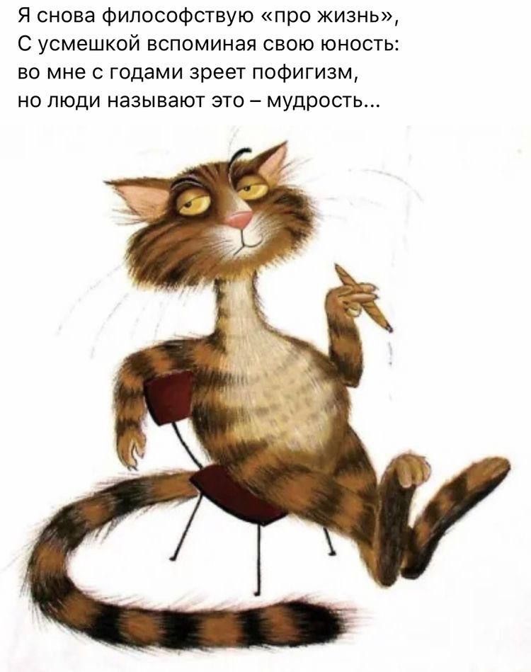 Я снова философствую про жизнь С усмешкой вспоминая свою юность во мне с годами зреет пофигизм но люди называют это мудрость