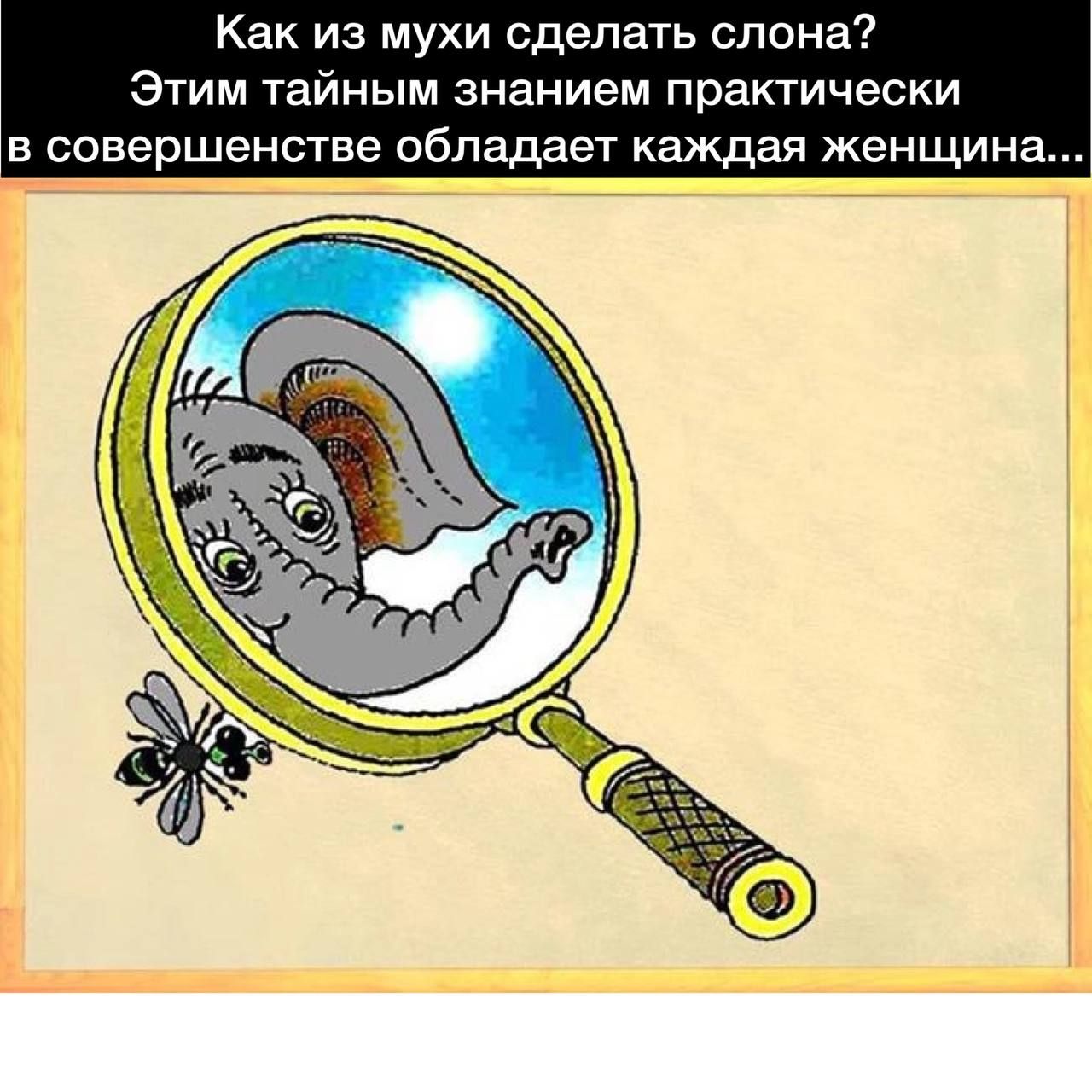 Как из мухи сделать слона Этим тайным знанием практически в совершенстве обладает каждая женщина Ё _ _ _ __